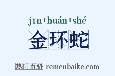 金环蛇是什么意思的图片